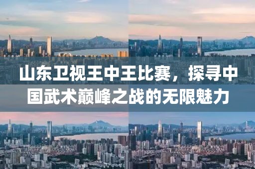 山东卫视王中王比赛，探寻中国武术巅峰之战的无限魅力