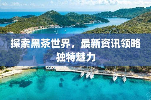 探索黑茶世界，最新资讯领略独特魅力