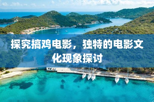 探究搞鸡电影，独特的电影文化现象探讨