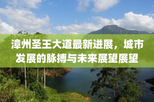 漳州圣王大道最新进展，城市发展的脉搏与未来展望展望