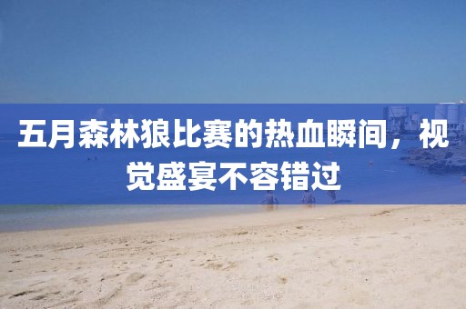 五月森林狼比赛的热血瞬间，视觉盛宴不容错过