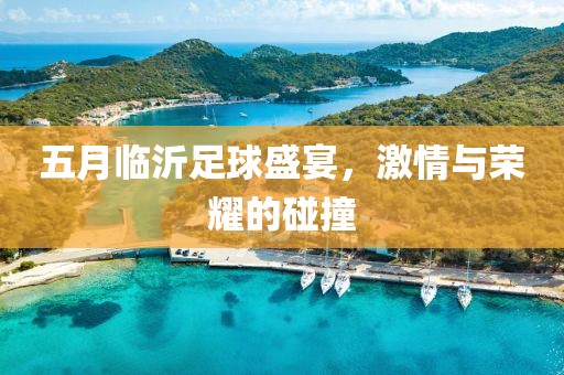 五月临沂足球盛宴，激情与荣耀的碰撞