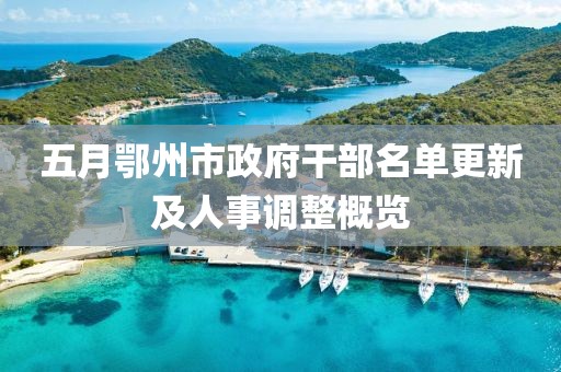五月鄂州市政府干部名单更新及人事调整概览
