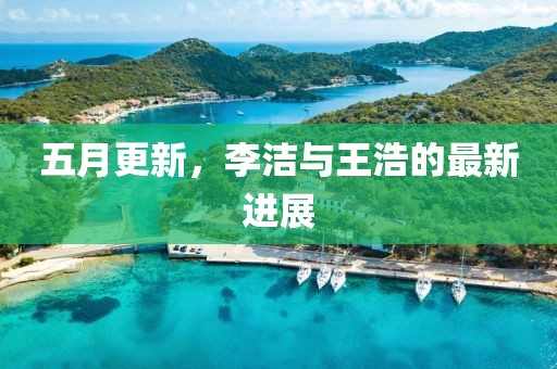 五月更新，李洁与王浩的最新进展