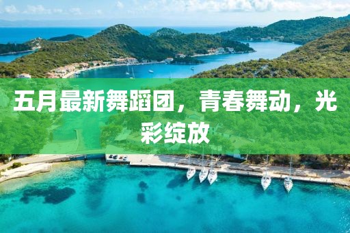 五月最新舞蹈团，青春舞动，光彩绽放