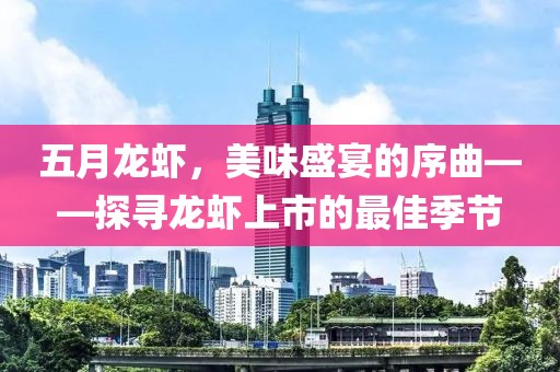 五月龙虾，美味盛宴的序曲——探寻龙虾上市的最佳季节