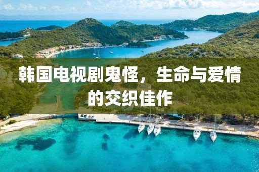 韩国电视剧鬼怪，生命与爱情的交织佳作