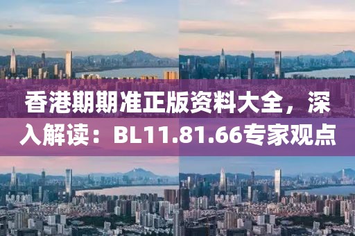 香港期期准正版资料大全，深入解读：BL11.81.66专家观点