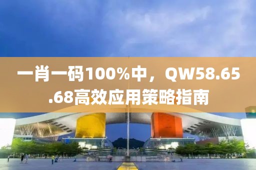一肖一码100%中，QW58.65.68高效应用策略指南