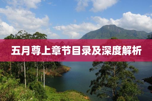 五月尊上章节目录及深度解析