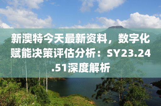 新澳特今天最新资料，数字化赋能决策评估分析：SY23.24.51深度解析