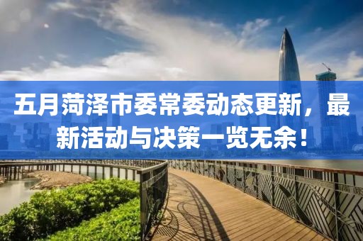 五月菏泽市委常委动态更新，最新活动与决策一览无余！