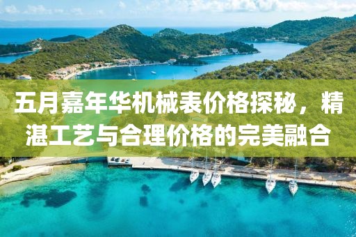 五月嘉年华机械表价格探秘，精湛工艺与合理价格的完美融合
