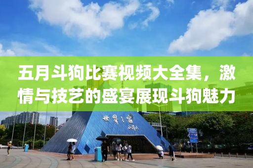 五月斗狗比赛视频大全集，激情与技艺的盛宴展现斗狗魅力