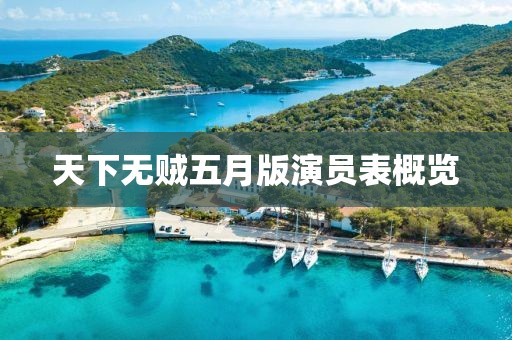 天下无贼五月版演员表概览