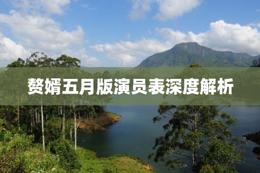 赘婿五月版演员表深度解析
