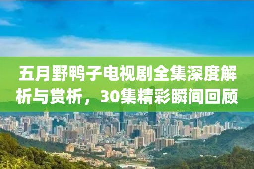 五月野鸭子电视剧全集深度解析与赏析，30集精彩瞬间回顾