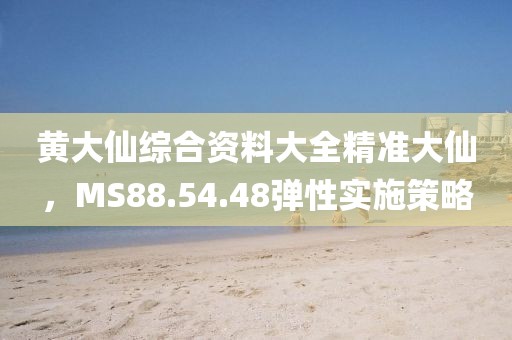 黄大仙综合资料大全精准大仙，MS88.54.48弹性实施策略
