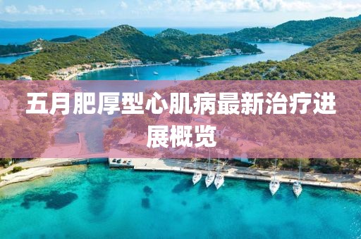 五月肥厚型心肌病最新治疗进展概览