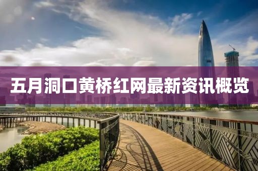 五月洞口黄桥红网最新资讯概览