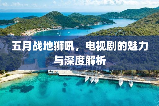 五月战地狮吼，电视剧的魅力与深度解析