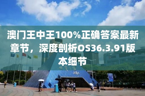 澳门王中王100%正确答案最新章节，深度剖析OS36.3.91版本细节