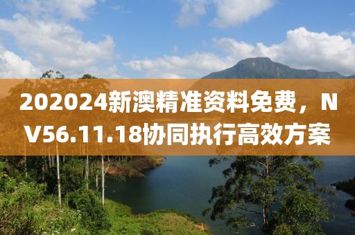 202024新澳精准资料免费，NV56.11.18协同执行高效方案