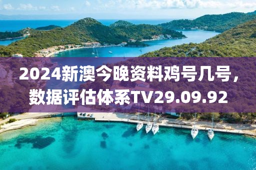 2024新澳今晚资料鸡号几号，数据评估体系TV29.09.92