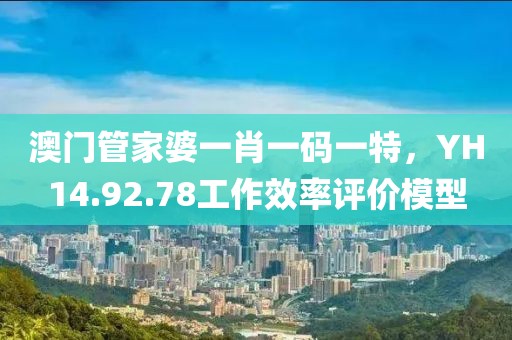 澳门管家婆一肖一码一特，YH14.92.78工作效率评价模型