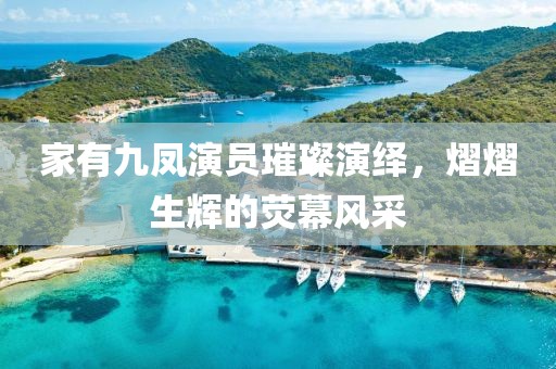 家有九凤演员璀璨演绎，熠熠生辉的荧幕风采
