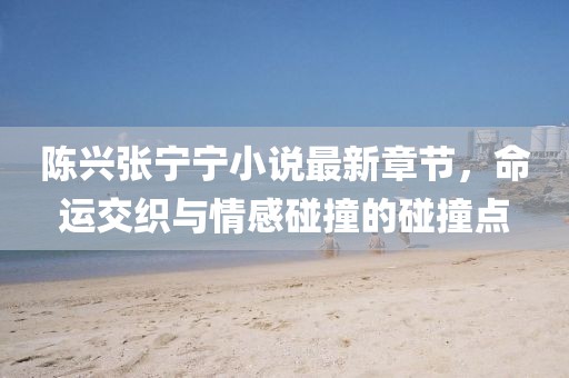 陈兴张宁宁小说最新章节，命运交织与情感碰撞的碰撞点