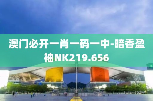 澳门必开一肖一码一中-暗香盈袖NK219.656