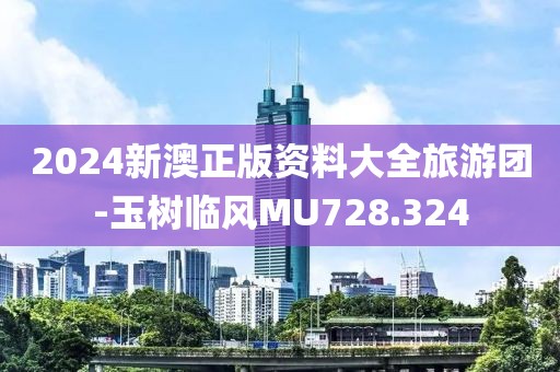 2024新澳正版资料大全旅游团-玉树临风MU728.324