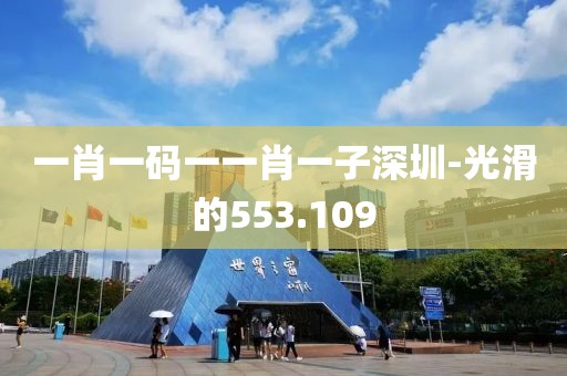 一肖一码一一肖一子深圳-光滑的553.109