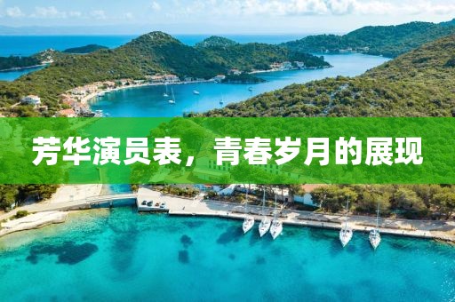 芳华演员表，青春岁月的展现