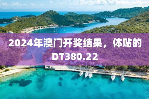 2024年澳门开奖结果，体贴的DT380.22