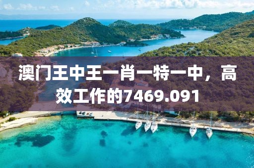 澳门王中王一肖一特一中，高效工作的7469.091