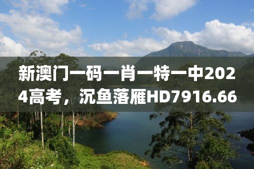 新澳门一码一肖一特一中2024高考，沉鱼落雁HD7916.66