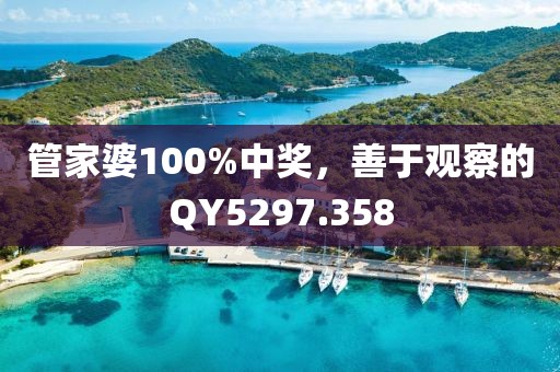 管家婆100%中奖，善于观察的QY5297.358