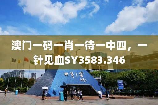 澳门一码一肖一待一中四，一针见血SY3583.346