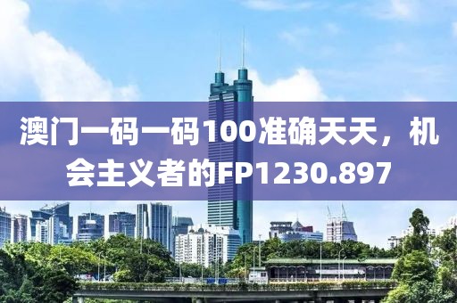 澳门一码一码100准确天天，机会主义者的FP1230.897