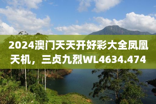 2024澳门天天开好彩大全凤凰天机，三贞九烈WL4634.474