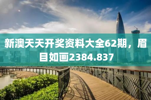 新澳天天开奖资料大全62期，眉目如画2384.837