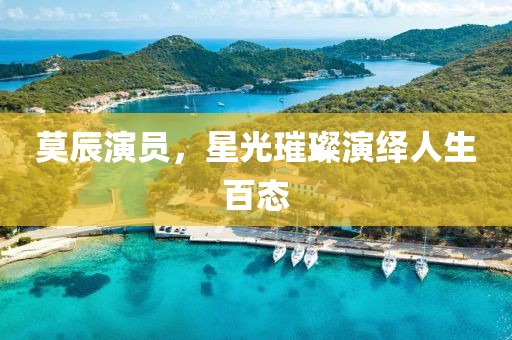 莫辰演员，星光璀璨演绎人生百态