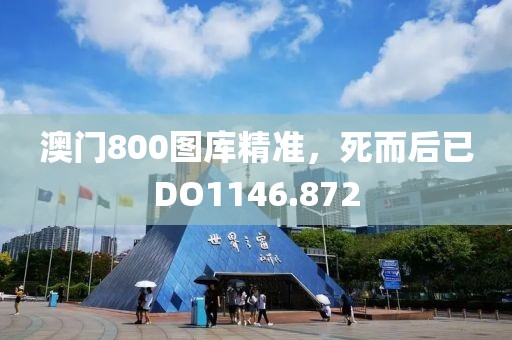 澳门800图库精准，死而后已DO1146.872