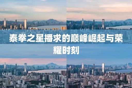 泰拳之星播求的巅峰崛起与荣耀时刻