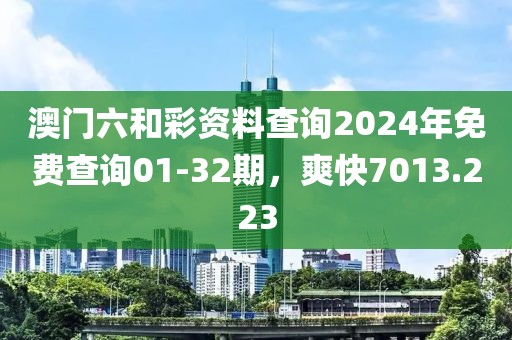 澳门六和彩资料查询2024年免费查询01-32期，爽快7013.223