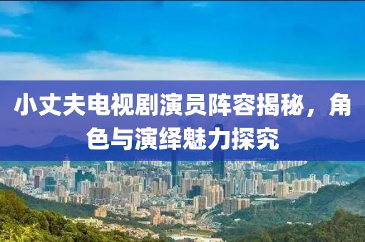 小丈夫电视剧演员阵容揭秘，角色与演绎魅力探究