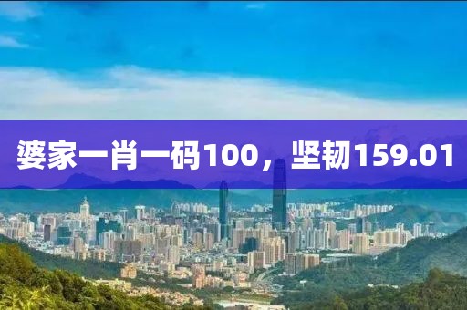 婆家一肖一码100，坚韧159.01