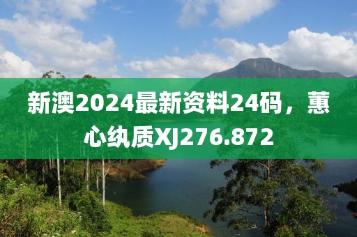 新澳2024最新资料24码，蕙心纨质XJ276.872